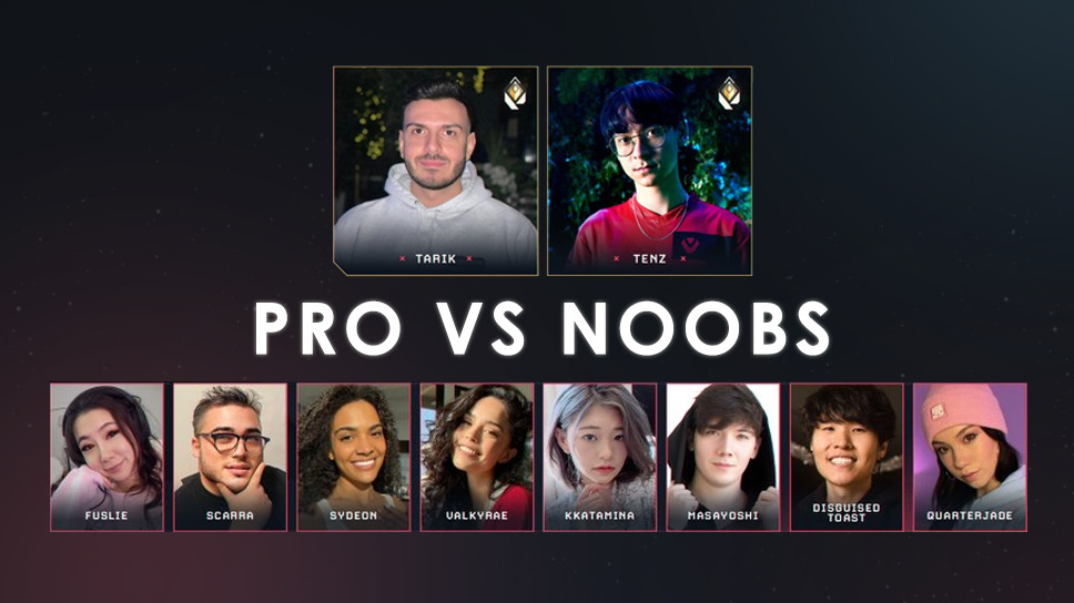 Can 5 Noobs Beat 2 Pro Valorant Players? 