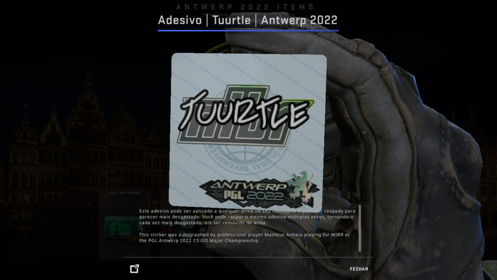 Adesivo do Tuurtle - Foto: Reprodução/Valve