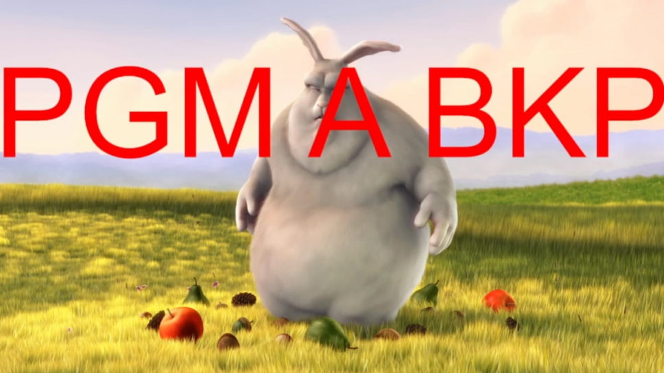 PGM A BKP – PGL mistakenly broadcasts bizarre bunny cartoon before start of TI11 cover image