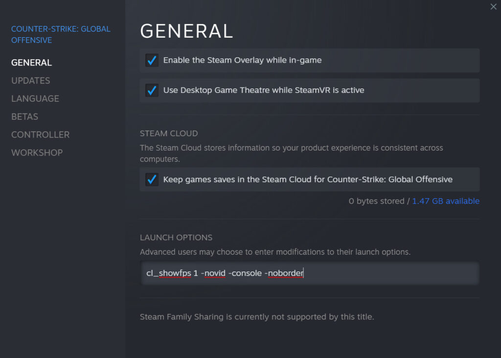 <em>The CS: GO Launch options are available under the General tab in settings.&nbsp;</em>