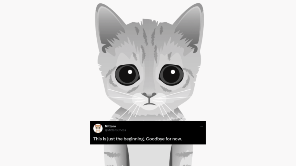 Goodbye Mittens. Chess.com removes the viral cat bot from its site cover image