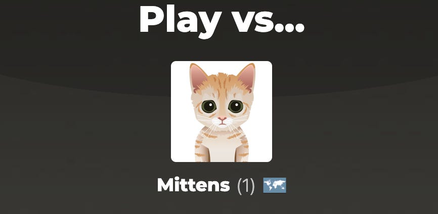 Mittens on Chess.com.