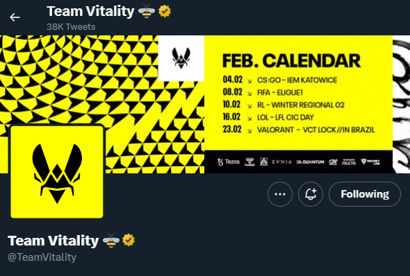 Team Vitality's hint about the French Bees on Twitter (Image via Team Vitality)
