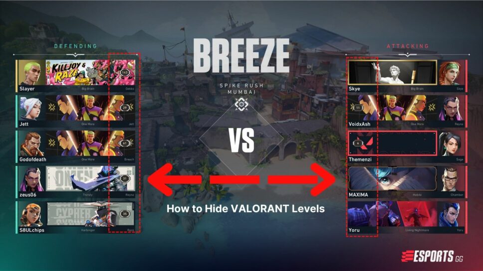 How to hide level in VALORANT cover image