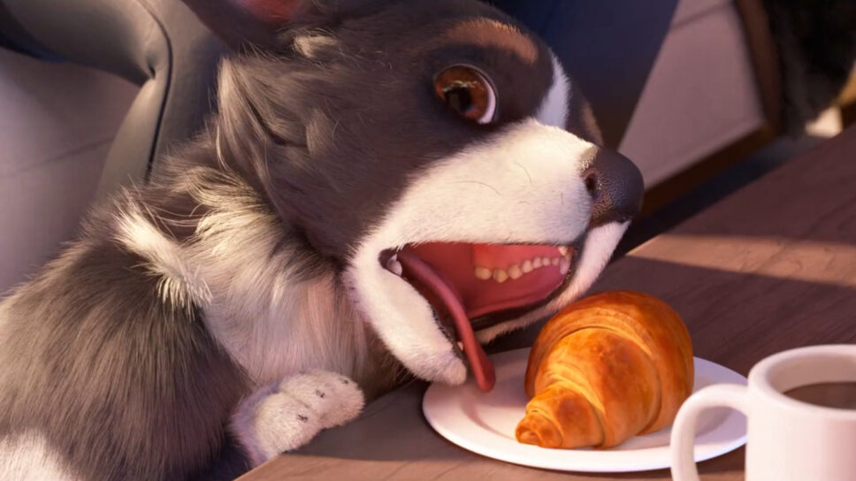Overwatch 2 Calling recap: Sojourn lore, cute puppy, and croissants! cover image