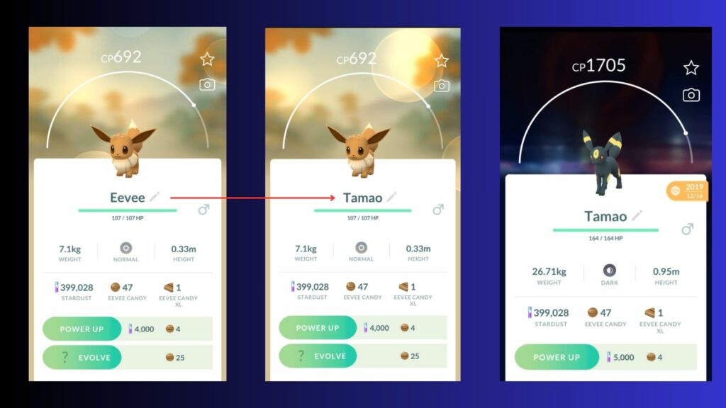 Evolve Eevee Into Umbreon In Pokemon Go, Evolve EEVEE Into UMBREON At  Night