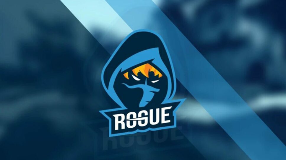 Rogue to return following KOI split cover image