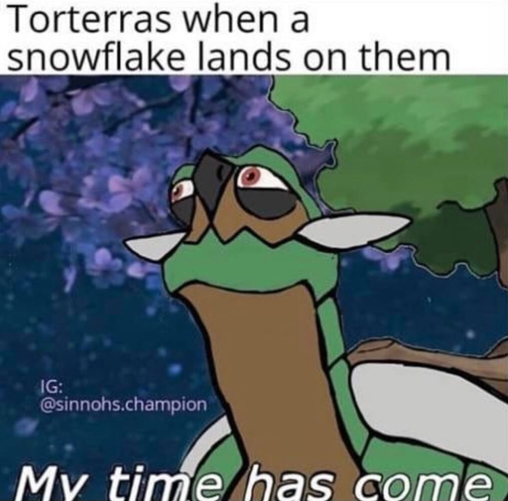 Torterra meme (Image via sinnohs.champion on Instagram)
