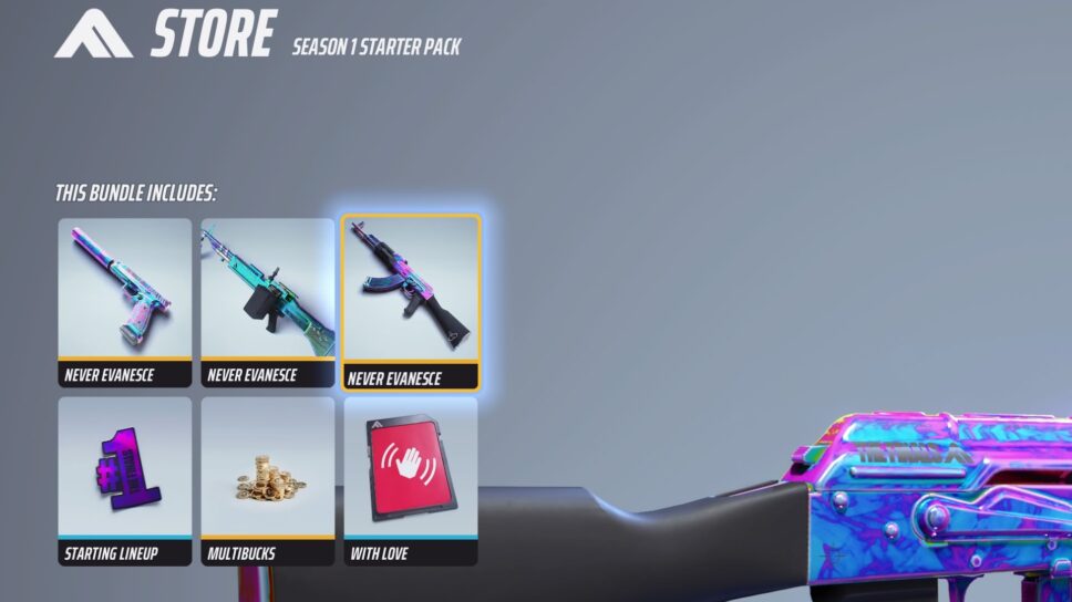 What is in The Finals Season 1 Starter Pack? cover image