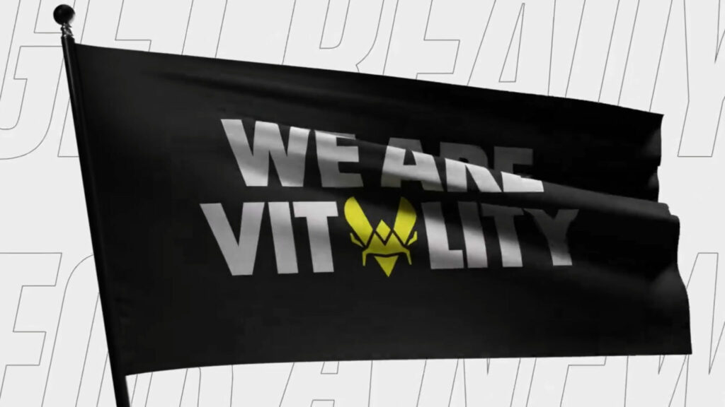 Team Vitality flag (Image via Team Vitality)
