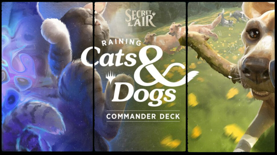 New MTG Secret Lair Commander deck rains cats and dogs cover image