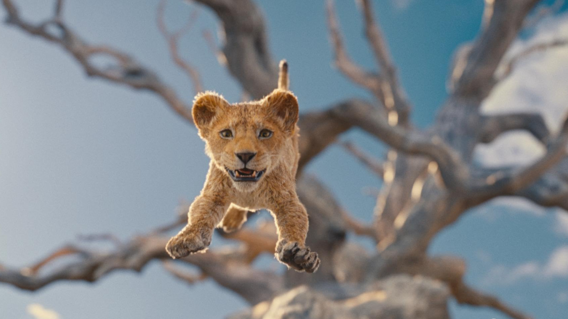 Живые боевики «Короля Льва» продолжаются фильмом «Муфаса: Король Лев».
