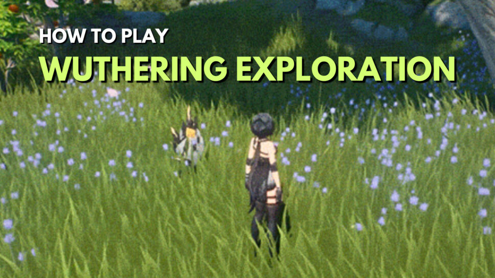 Wuthering Exploration special event: How to play, rewards, and more cover image