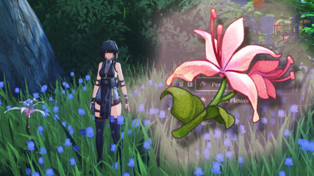 Wuthering Waves: Pecok Flower locations preview image
