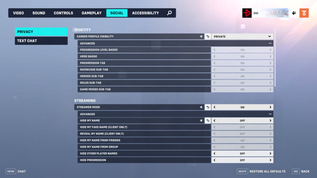 Overwatch 2 Streamer Protect screenshot (Image via esports.gg)