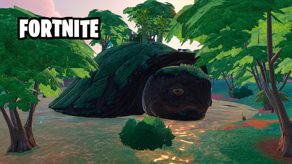 Where to find the Giant Turtle in Fortnite Chapter 6 cover image