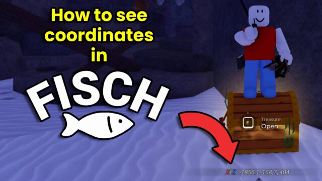 How to see coordinates in Fisch preview image