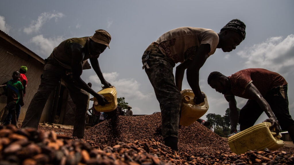 Workers gather dried cocoa beans outside an Ivory Coast cooperative facility (Image via <a href="https://www.washingtonpost.com/graphics/2019/business/hershey-nestle-mars-chocolate-child-labor-west-africa/">The Washington Post</a>)