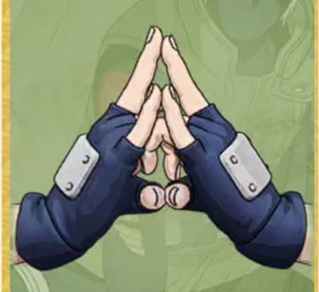 Ninjustsu Sign 10