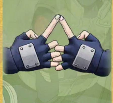 Ninjustsu Sign 12