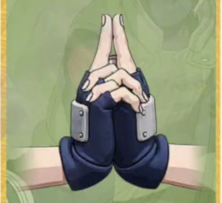 Ninjustsu Sign 3