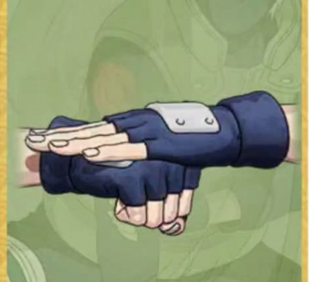 Ninjustsu Sign 5