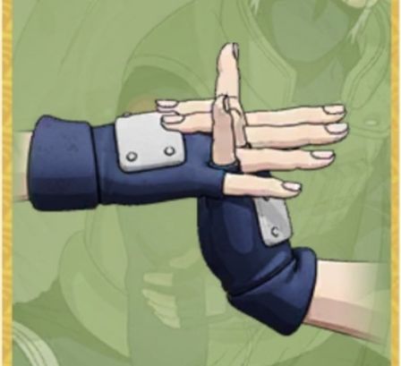 Ninjustsu Sign 8