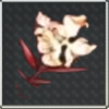 A resonator ascension material in the game Wuthering Waves: Bloodleaf Viburnum