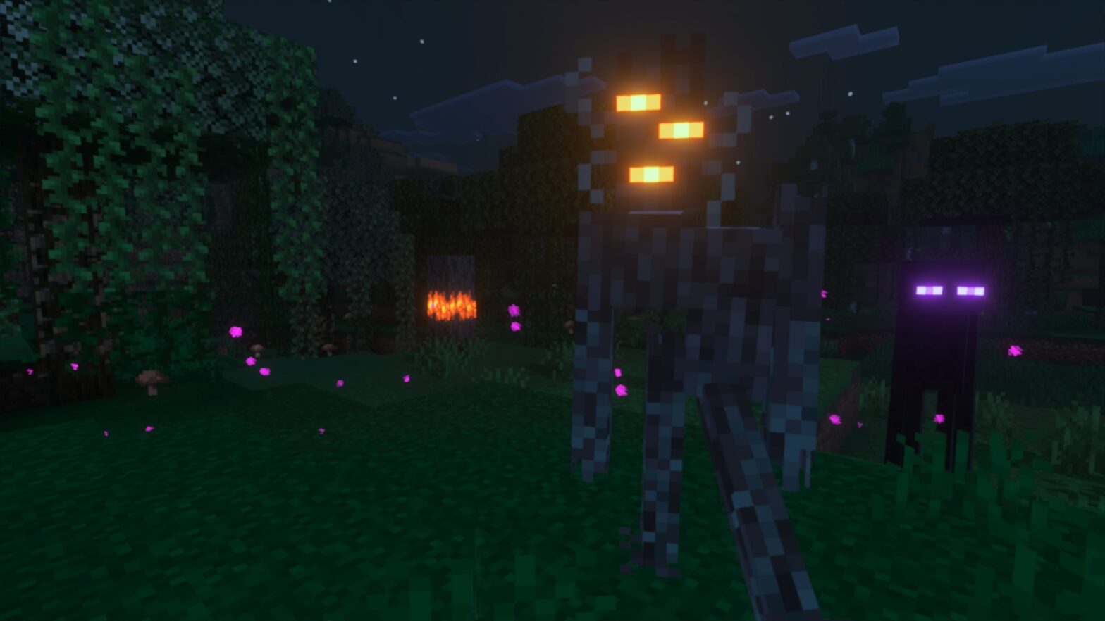 Featured preview 4