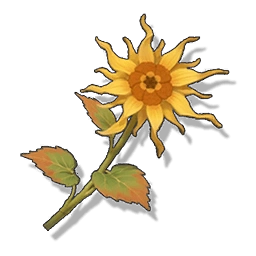 Ascension material in Wuthering Waves: Luminous Calendula