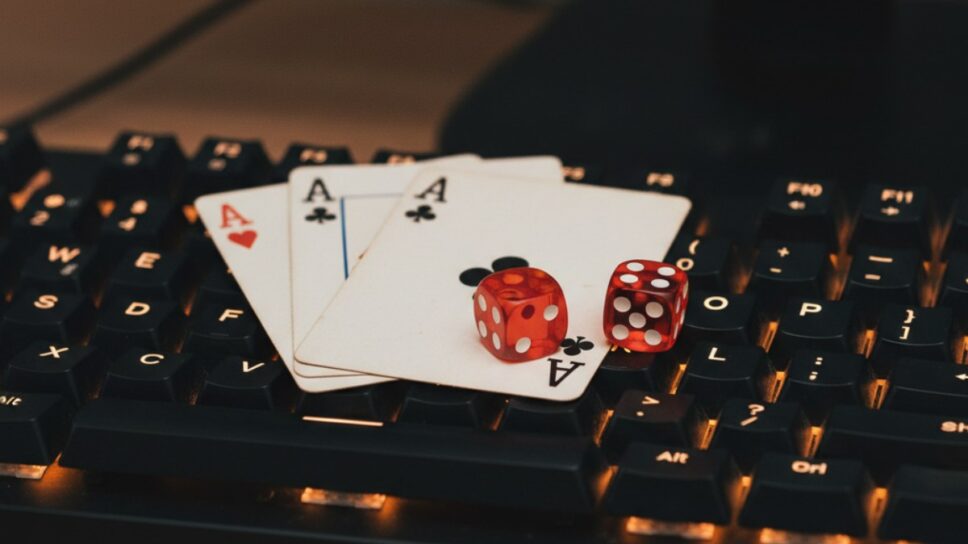 New vs. Established Casinos: Where Should You Play? cover image